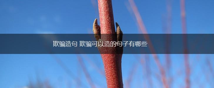 欺骗造句 欺骗可以造的句子有哪些,第1张 欺骗造句 欺骗可以造的句子有哪些,第1张