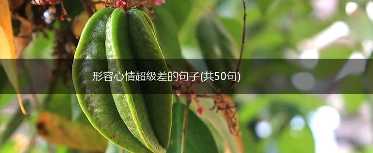 形容心情超级差的句子(共50句),第1张