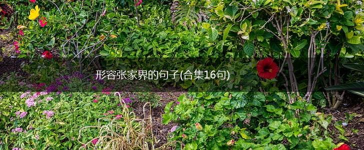 形容张家界的句子(合集16句),第1张