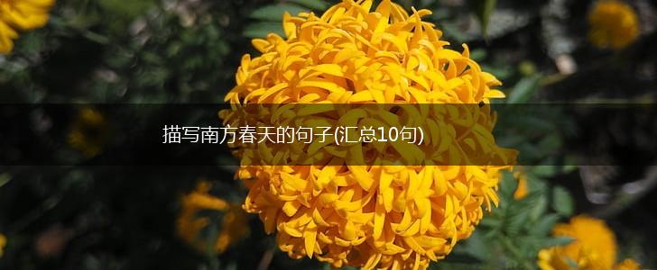 描写南方春天的句子(汇总10句),第1张