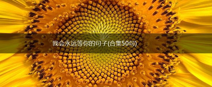 我会永远等你的句子(合集50句),第1张