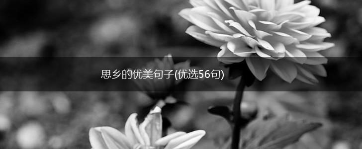 思乡的优美句子(优选56句),第1张