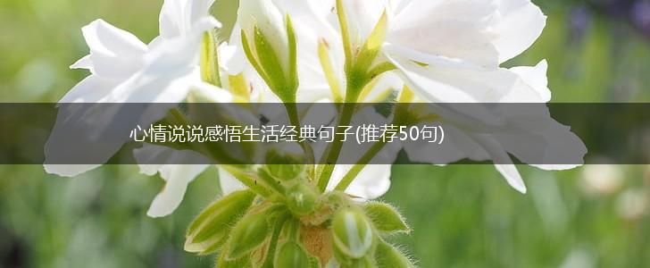 心情说说感悟生活经典句子(推荐50句),第1张