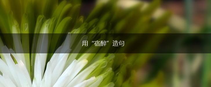 用“宿醉”造句,第1张 用“宿醉”造句,第1张