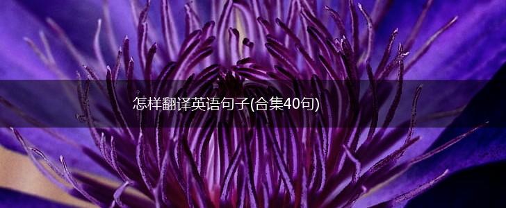 怎样翻译英语句子(合集40句),第1张
