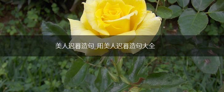 美人迟暮造句_用美人迟暮造句大全,第1张 美人迟暮造句_用美人迟暮造句大全,第1张