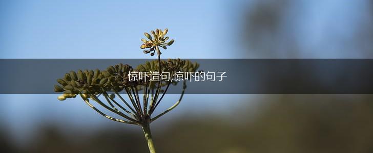 惊吓造句,惊吓的句子,第1张 惊吓造句,惊吓的句子,第1张
