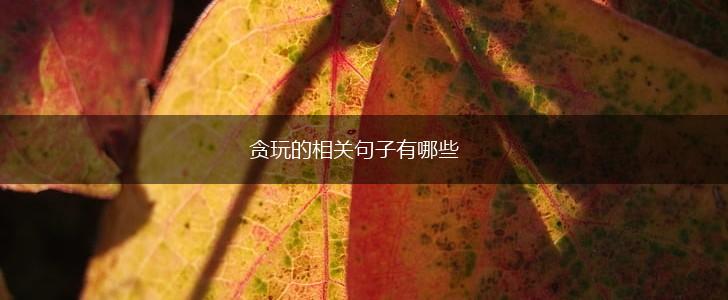 贪玩的相关句子有哪些,第1张 贪玩的相关句子有哪些,第1张