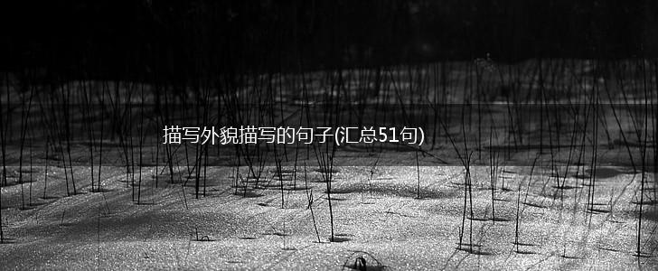 描写外貌描写的句子(汇总51句),第1张