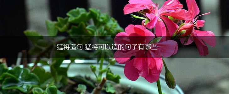 猛将造句 猛将可以造的句子有哪些,第1张 猛将造句 猛将可以造的句子有哪些,第1张