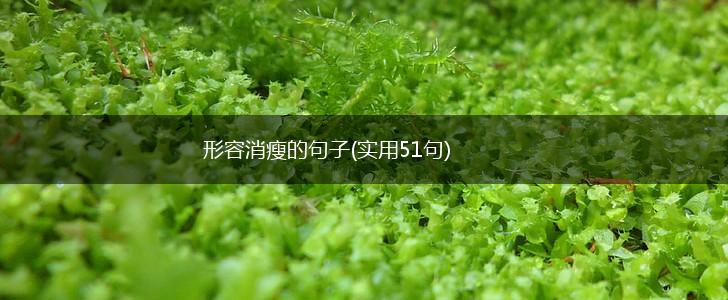 形容消瘦的句子(实用51句),第1张