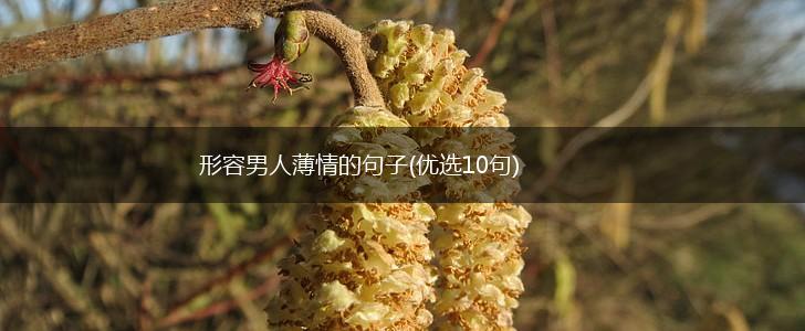 形容男人薄情的句子(优选10句),第1张