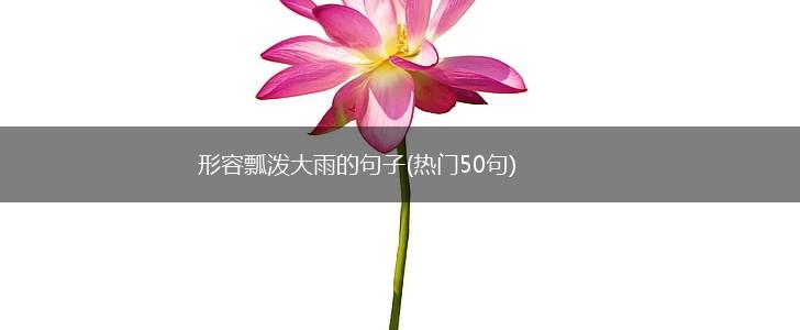 形容瓢泼大雨的句子(热门50句),第1张