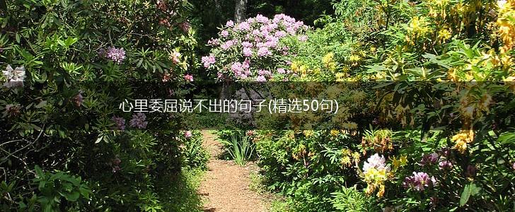 心里委屈说不出的句子(精选50句),第1张