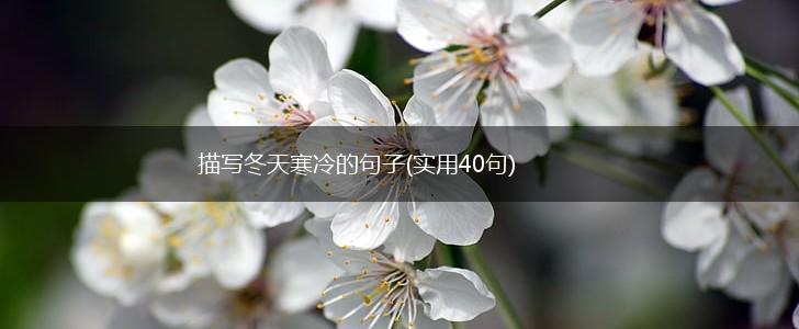 描写冬天寒冷的句子(实用40句),第1张