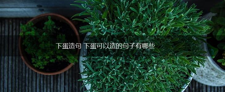 下蛋造句 下蛋可以造的句子有哪些,第1张 下蛋造句 下蛋可以造的句子有哪些,第1张