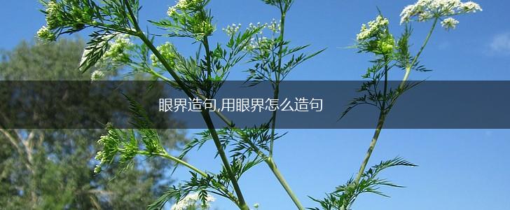 眼界造句,用眼界怎么造句,第1张 眼界造句,用眼界怎么造句,第1张