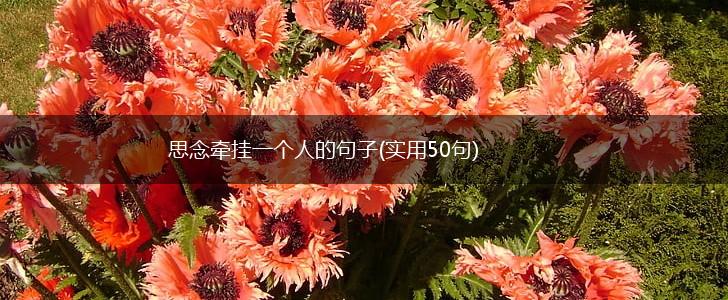 思念牵挂一个人的句子(实用50句),第1张