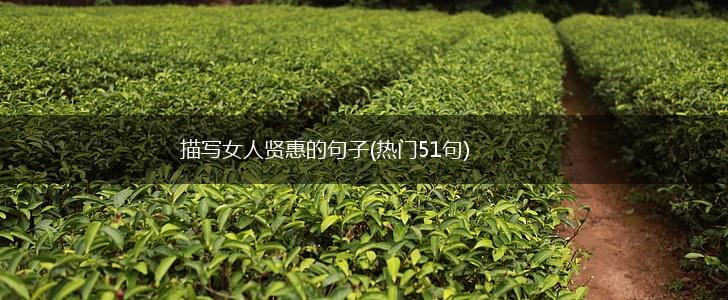 描写女人贤惠的句子(热门51句),第1张