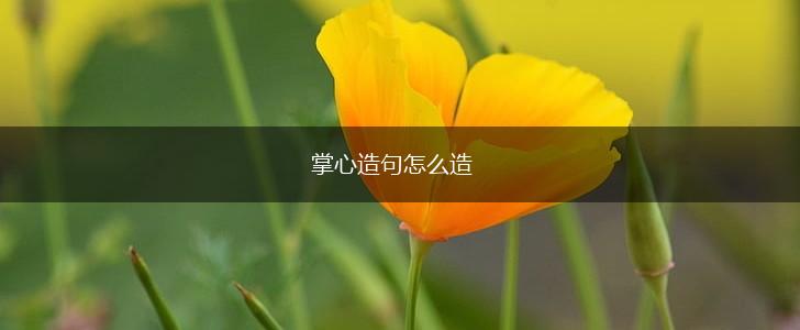 掌心造句怎么造,第1张 掌心造句怎么造,第1张