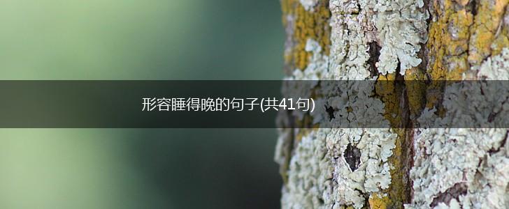 形容睡得晚的句子(共41句),第1张