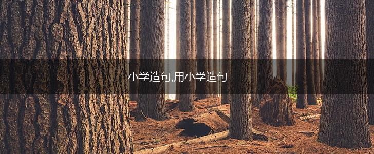 小学造句,用小学造句,第1张 小学造句,用小学造句,第1张