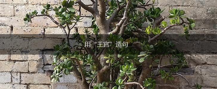 用“王宫”造句,第1张 用“王宫”造句,第1张