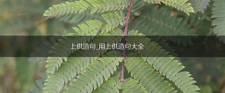 上供造句_用上供造句大全,第1张