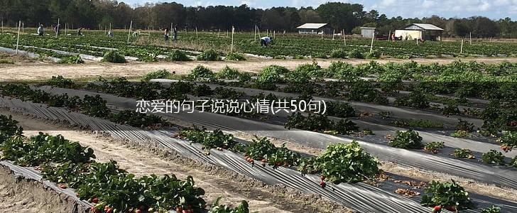 恋爱的句子说说心情(共50句),第1张
