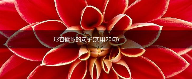 形容篮球的句子(实用20句),第1张