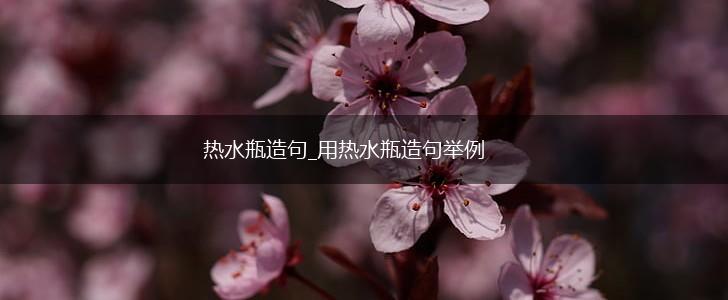 热水瓶造句_用热水瓶造句举例,第1张 热水瓶造句_用热水瓶造句举例,第1张