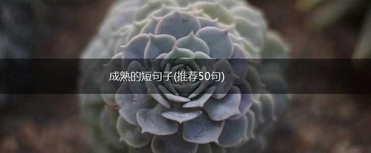 成熟的短句子(推荐50句),第1张
