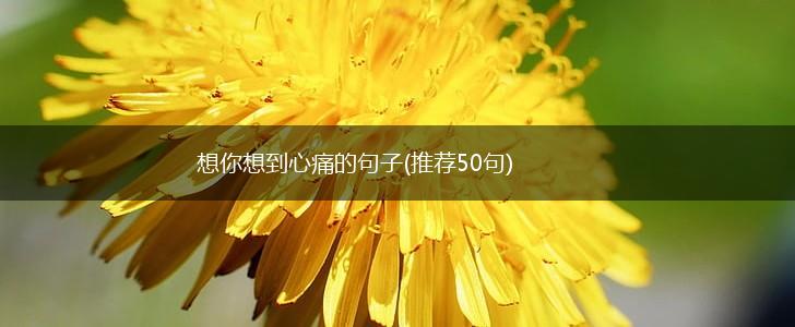 想你想到心痛的句子(推荐50句),第1张