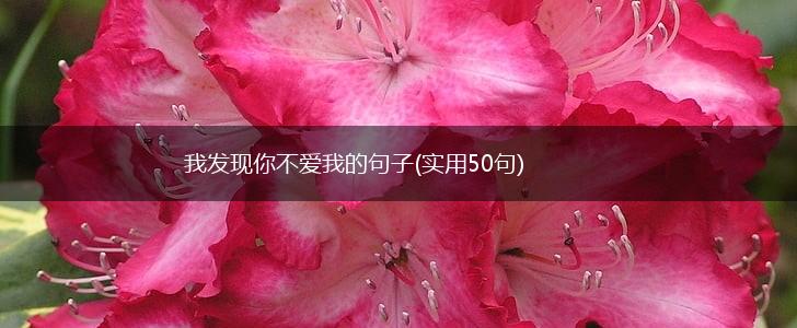 我发现你不爱我的句子(实用50句),第1张