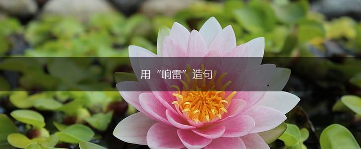 用“响雷”造句,第1张 用“响雷”造句,第1张