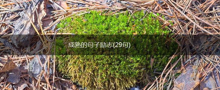 成熟的句子励志(29句),第1张
