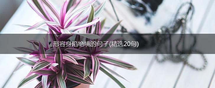 形容身陷绝境的句子(精选20句),第1张