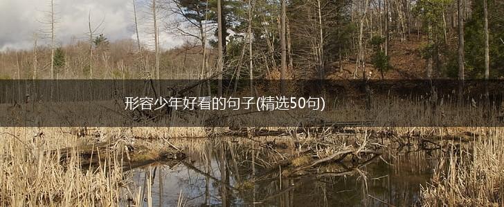 形容少年好看的句子(精选50句),第1张