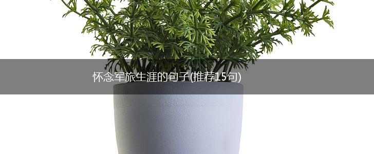 怀念军旅生涯的句子(推荐15句),第1张