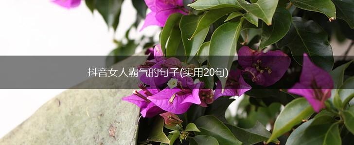 抖音女人霸气的句子(实用20句),第1张