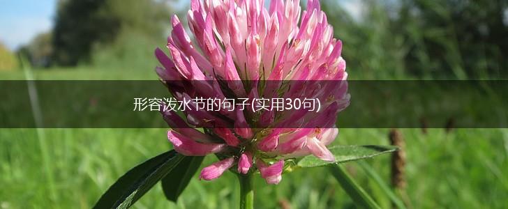 形容泼水节的句子(实用30句),第1张
