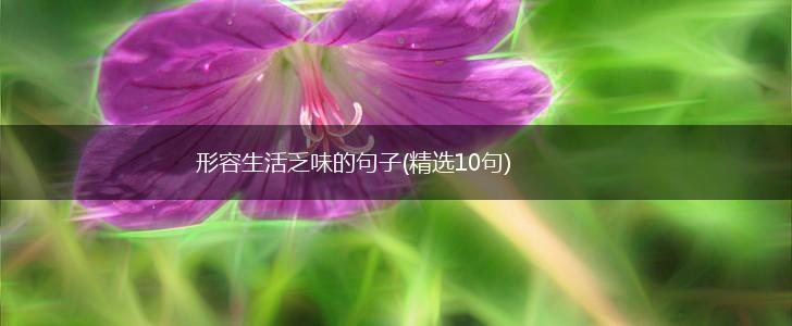 形容生活乏味的句子(精选10句),第1张