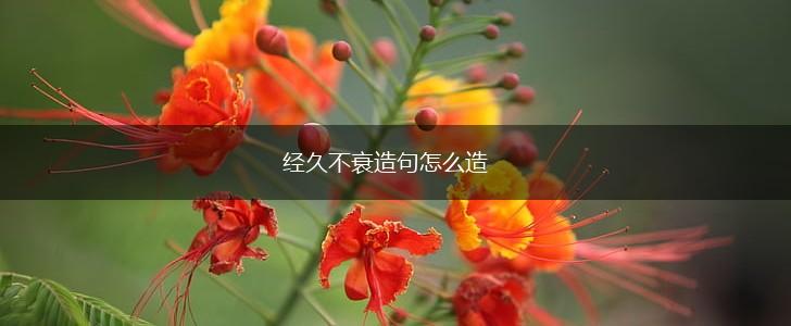 经久不衰造句怎么造,第1张 经久不衰造句怎么造,第1张