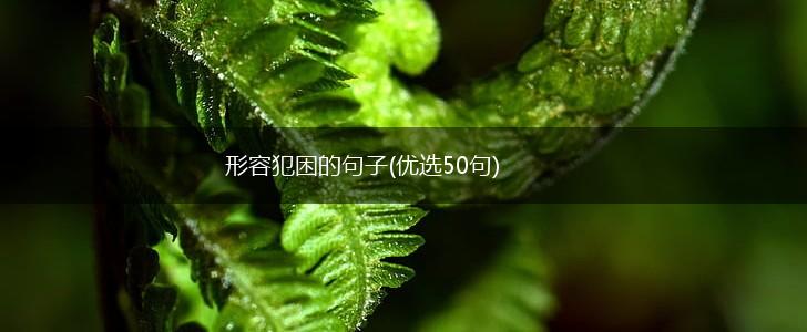 形容犯困的句子(优选50句),第1张