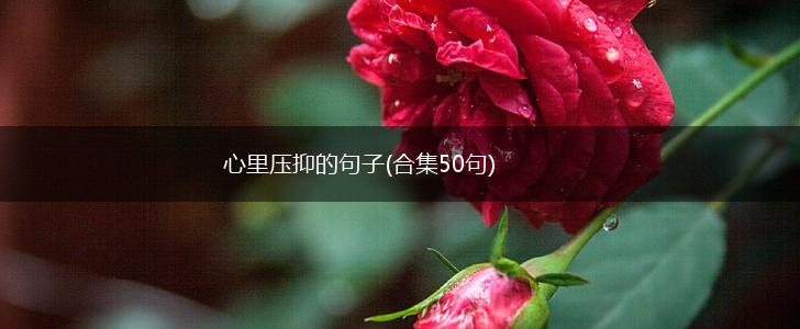 心里压抑的句子(合集50句),第1张