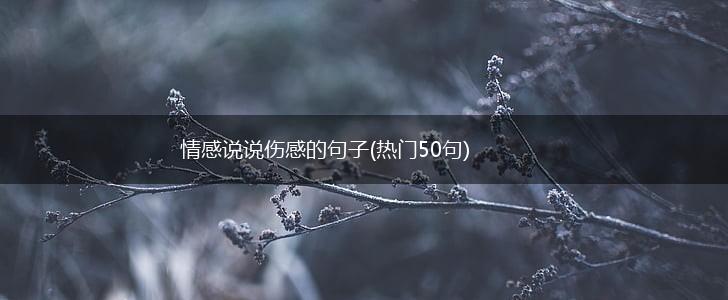 情感说说伤感的句子(热门50句),第1张
