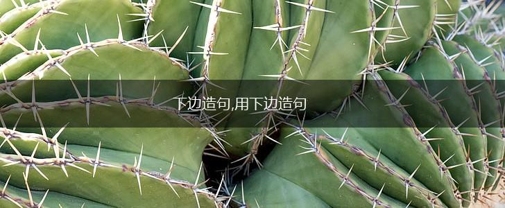 下边造句,用下边造句,第1张 下边造句,用下边造句,第1张