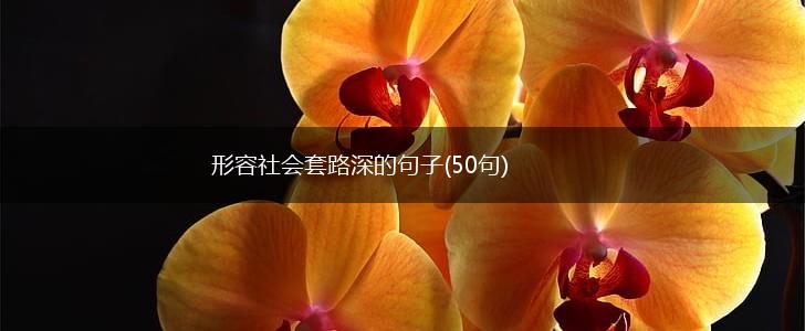 形容社会套路深的句子(50句),第1张