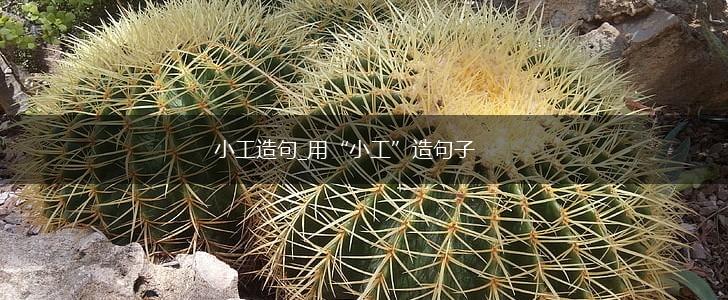 小工造句_用“小工”造句子,第1张