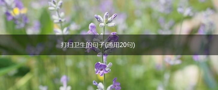 打扫卫生的句子(通用20句),第1张